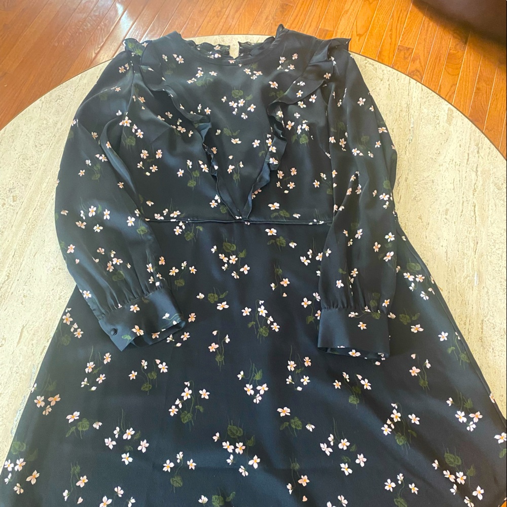 Beautiful fully lined Ann Taylor dress, back zip, ruffle neck and details.